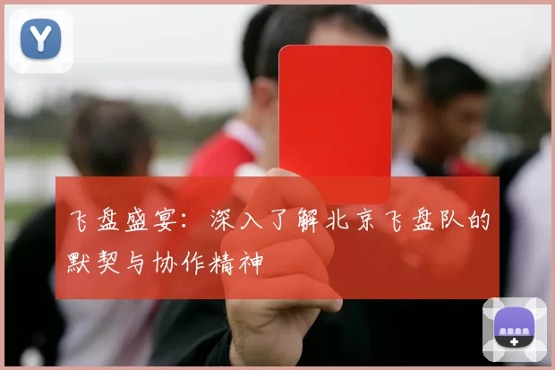 飞盘盛宴:深入了解北京飞盘队的默契与协作精神