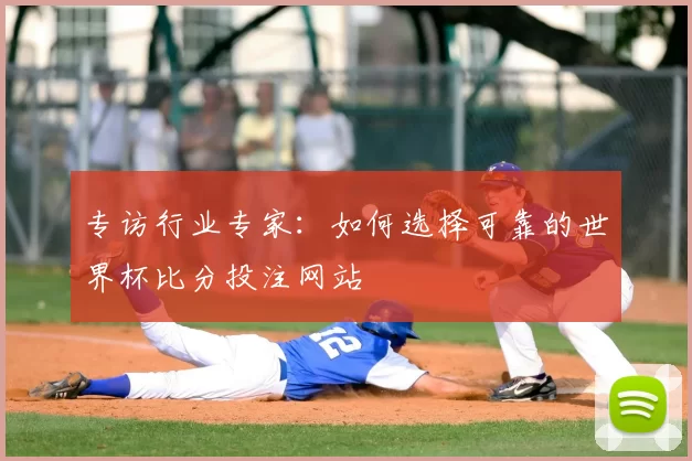 专访行业专家:如何选择可靠的世界杯比分投注网站