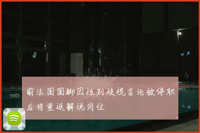 前法国国脚因性别歧视言论被停职后将重返解说岗位