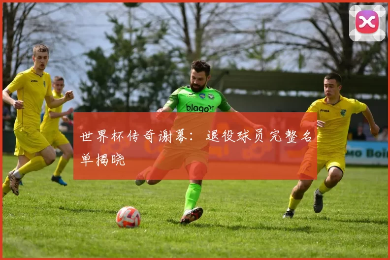 世界杯传奇谢幕:退役球员完整名单揭晓