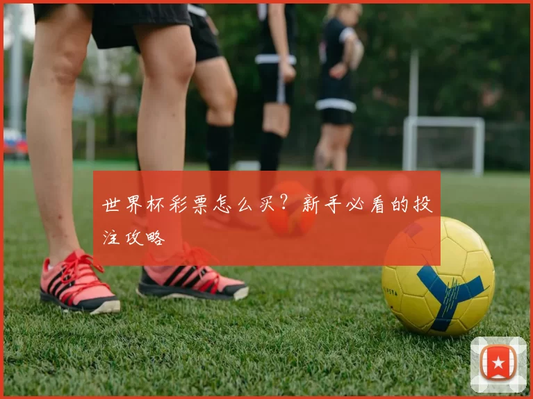 世界杯彩票怎么买?新手必看的投注攻略