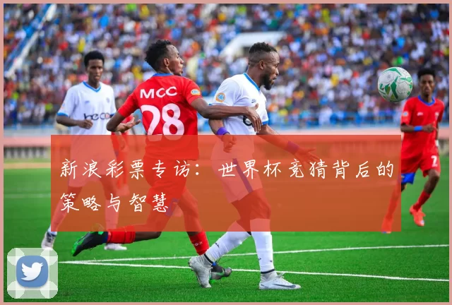 新浪彩票专访：世界杯竞猜背后的策略与智慧