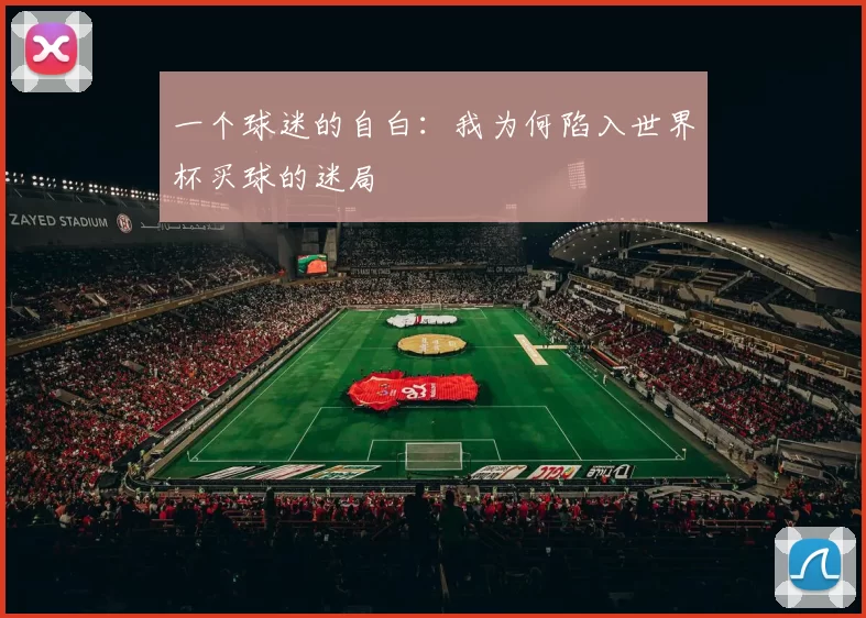 一个球迷的自白:我为何陷入世界杯买球的迷局