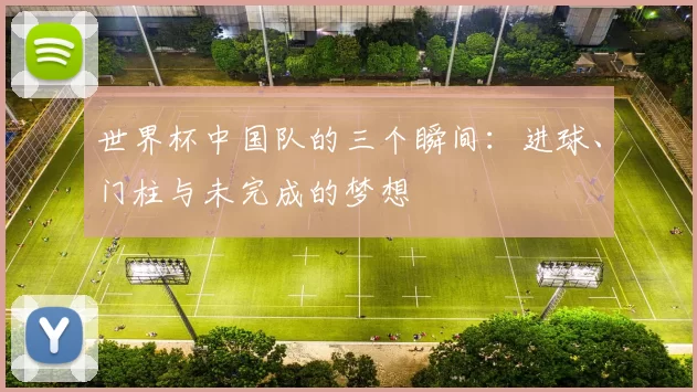世界杯中国队的三个瞬间：进球、门柱与未完成的梦想