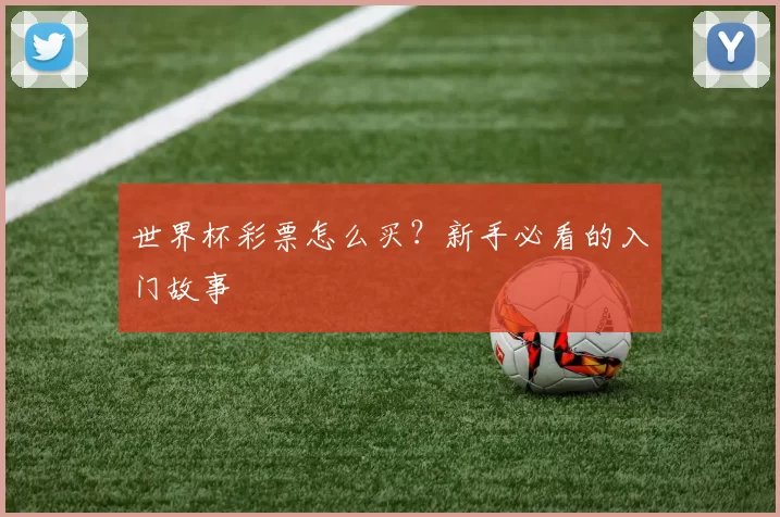 世界杯彩票怎么买？新手必看的入门故事