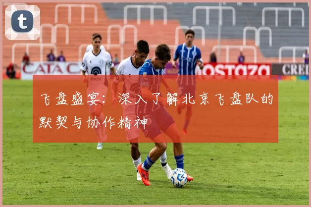 飞盘盛宴:深入了解北京飞盘队的默契与协作精神
