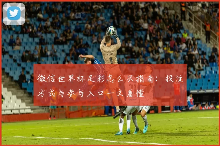 微信世界杯足彩怎么买指南：投注方式与参与入口一文看懂
